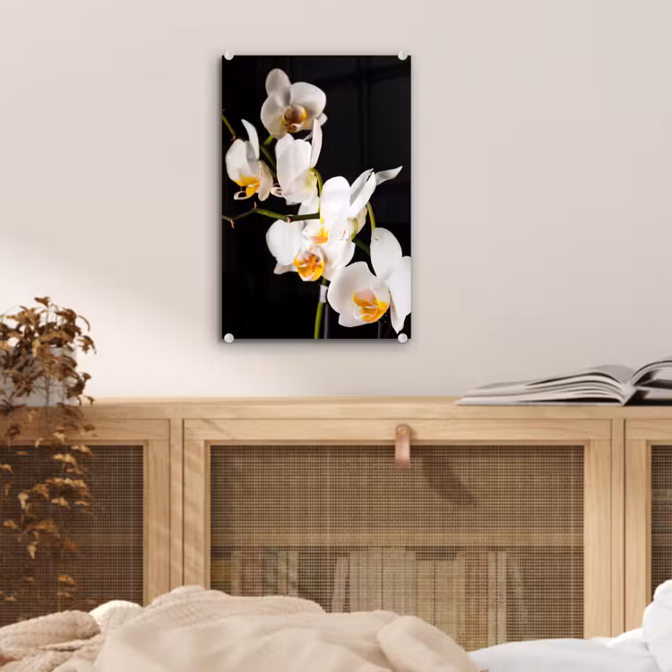 Glas schilderij - Orchidee - Bloemen - Planten - Botanisch — 5