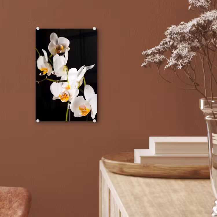 Glas schilderij - Orchidee - Bloemen - Planten - Botanisch — 6