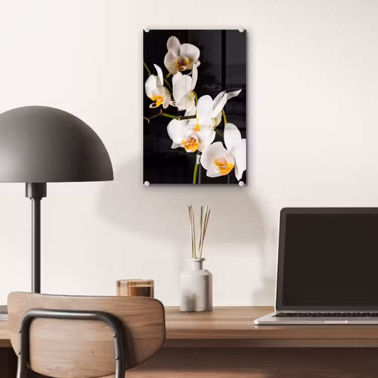 Glas schilderij - Orchidee - Bloemen - Planten - Botanisch — 7