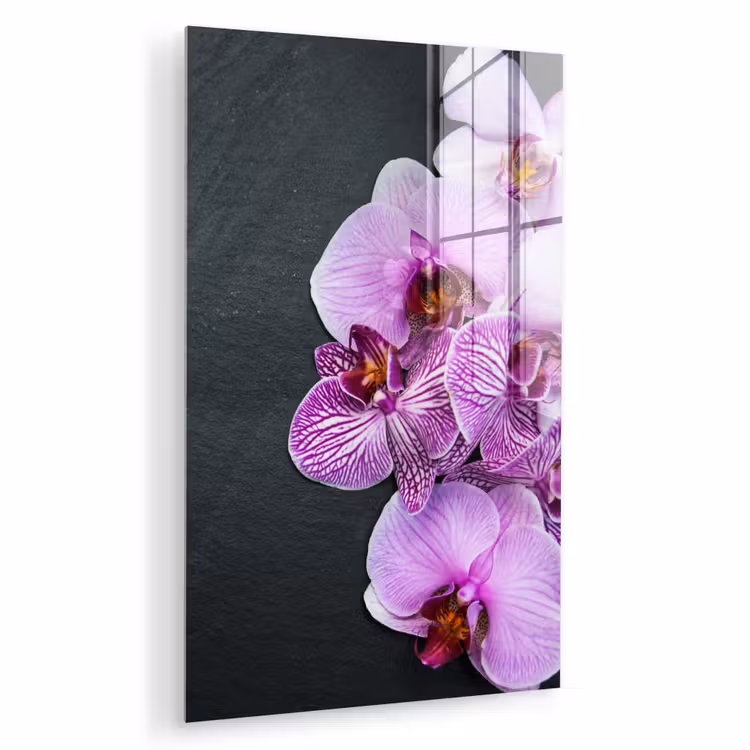 Glas schilderij - Orchidee - Bloemen - Roze - Flora — 1