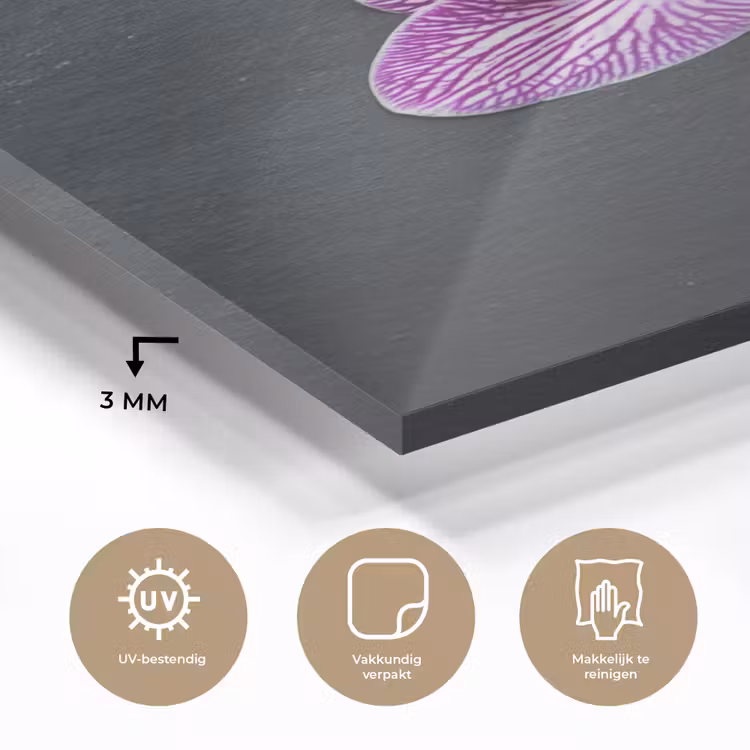 Glas schilderij - Orchidee - Bloemen - Roze - Flora — 3
