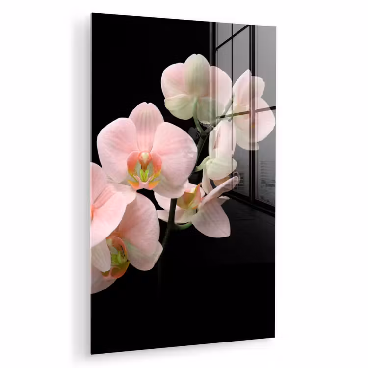 Glas schilderij - Orchidee - Bloemen - Roze - Stilleven - Flora — 1