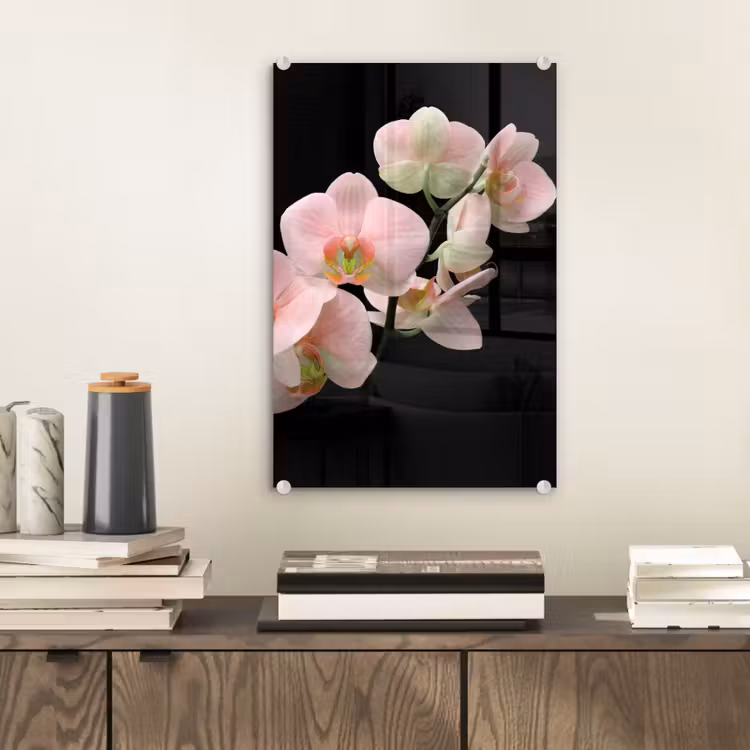 Glas schilderij - Orchidee - Bloemen - Roze - Stilleven - Flora — 2