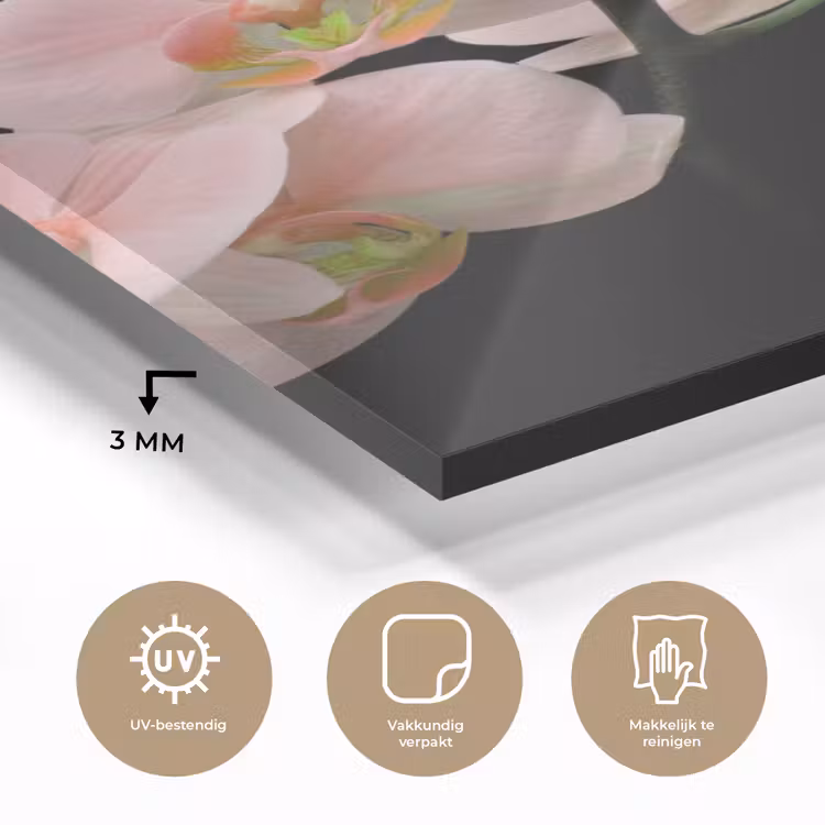 Glas schilderij - Orchidee - Bloemen - Roze - Stilleven - Flora — 3