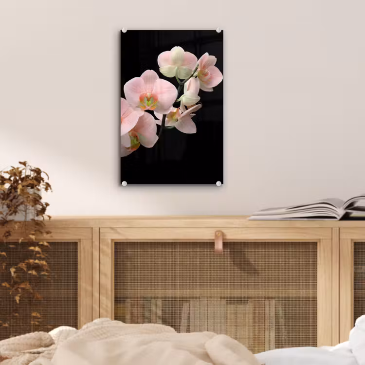 Glas schilderij - Orchidee - Bloemen - Roze - Stilleven - Flora — 5