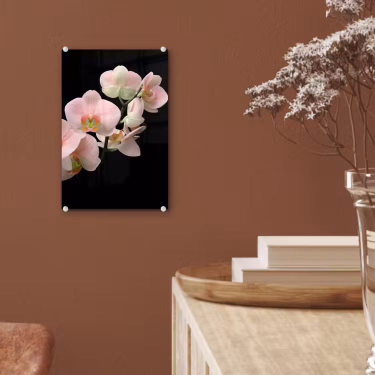 Glas schilderij - Orchidee - Bloemen - Roze - Stilleven - Flora — 6