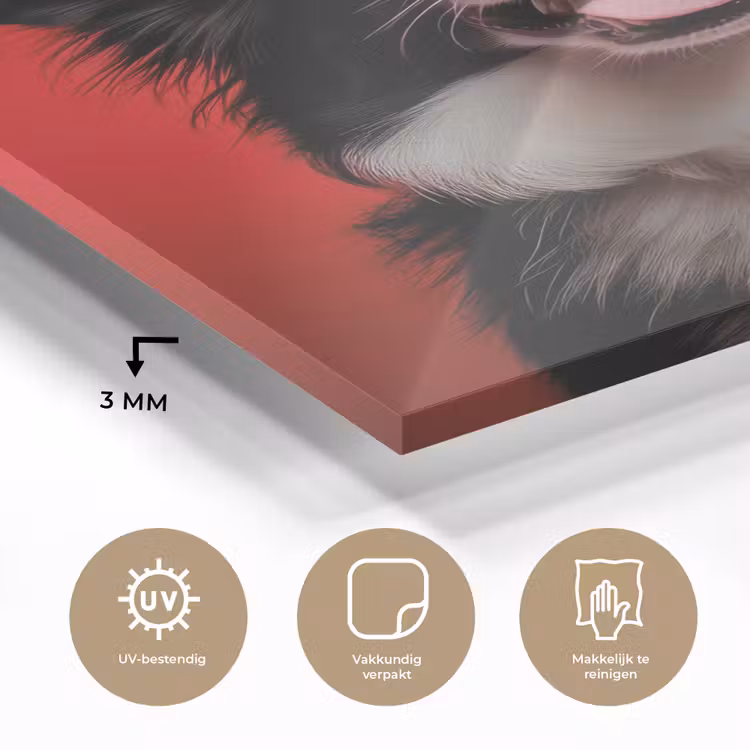 Glas schilderij - Hond - Hartjesbril - Loveyou - Rood — 3