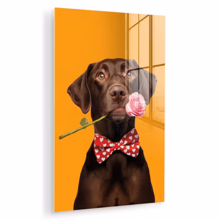 Glas schilderij - Hond - Oranje - Roos - Valentijn — 1