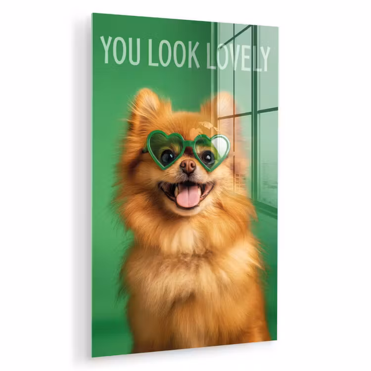 Glas schilderij - Hond - Zonnebril - Valentijn - Love — 1