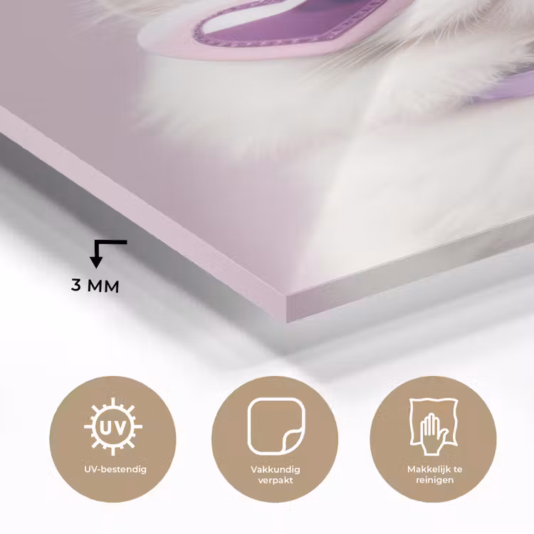 Glas schilderij - Kat - Love - Paars - Valentijn — 3