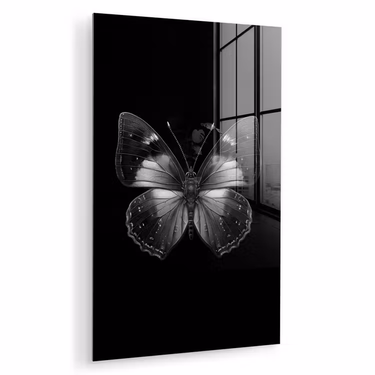 Glas schilderij - Vlinder - Grijs - Mysterieus — 1