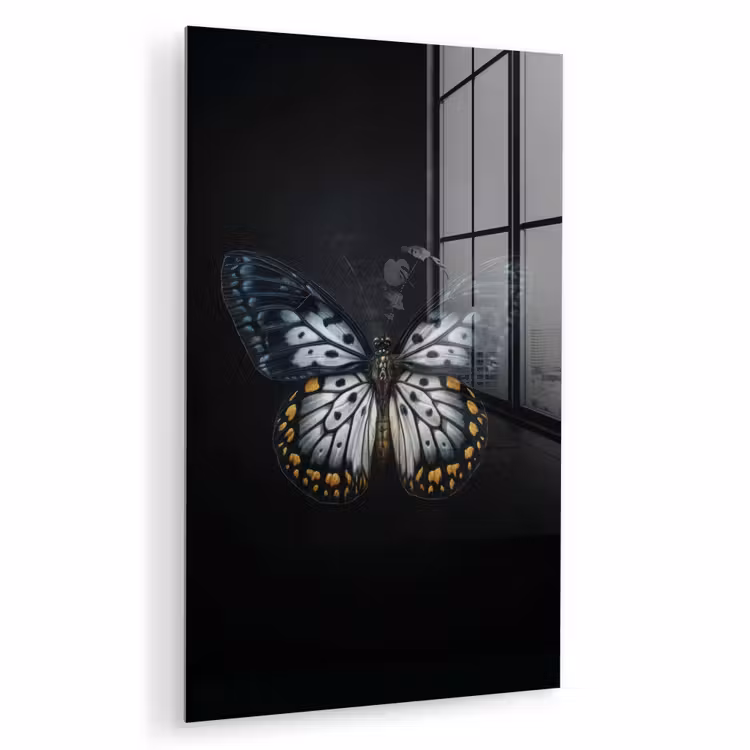 Glas schilderij - Vlinder - Monochroom - Balans — 1