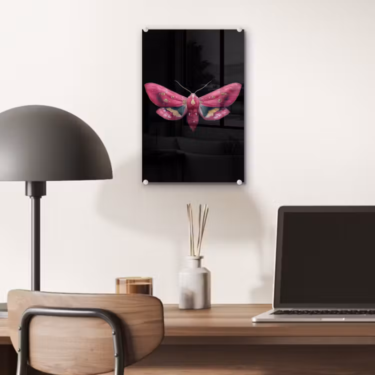 Glas schilderij - Vlinder - Roze - Nachtvlinder — 7