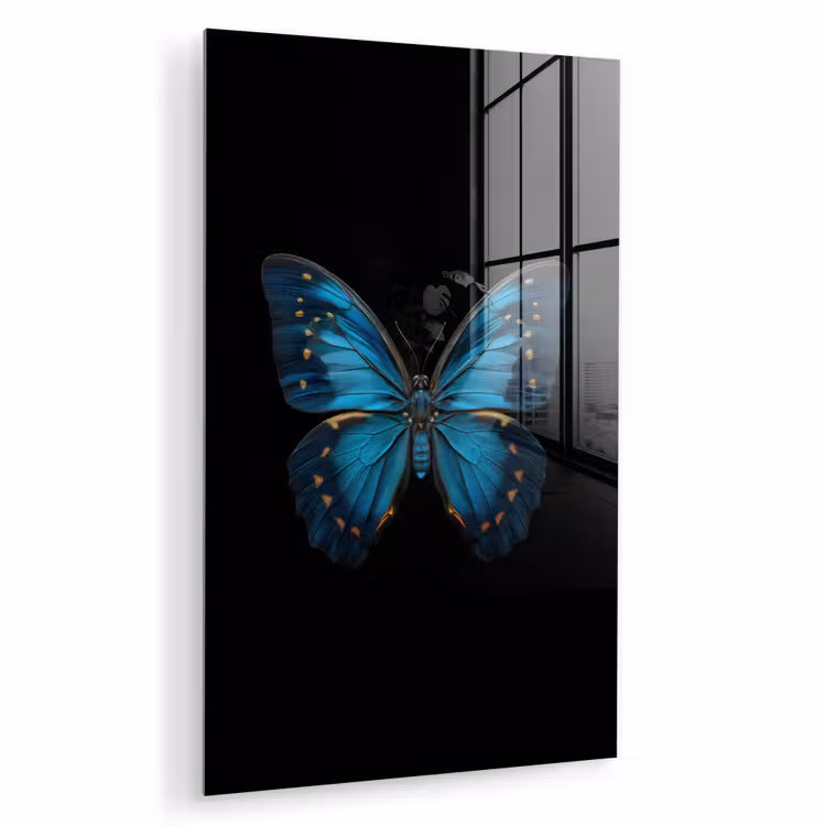 Glas schilderij - Vlinder - Blauw - Contrast — 1