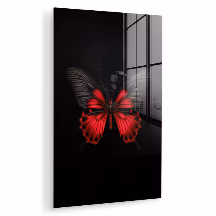 Glas schilderij - Vlinder - Rood - Contrast — 1