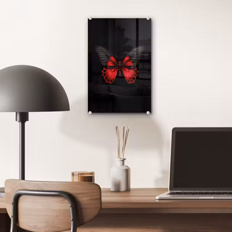 Glas schilderij - Vlinder - Rood - Contrast — 7