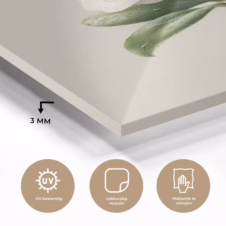 Glas schilderij - Cameliabloem - Wit - Groen — 3