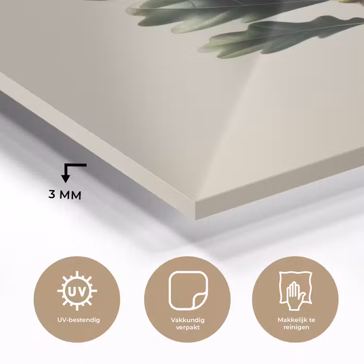 Glas schilderij - Eikenbladeren - Beige - Groen - Golvende randen — 3