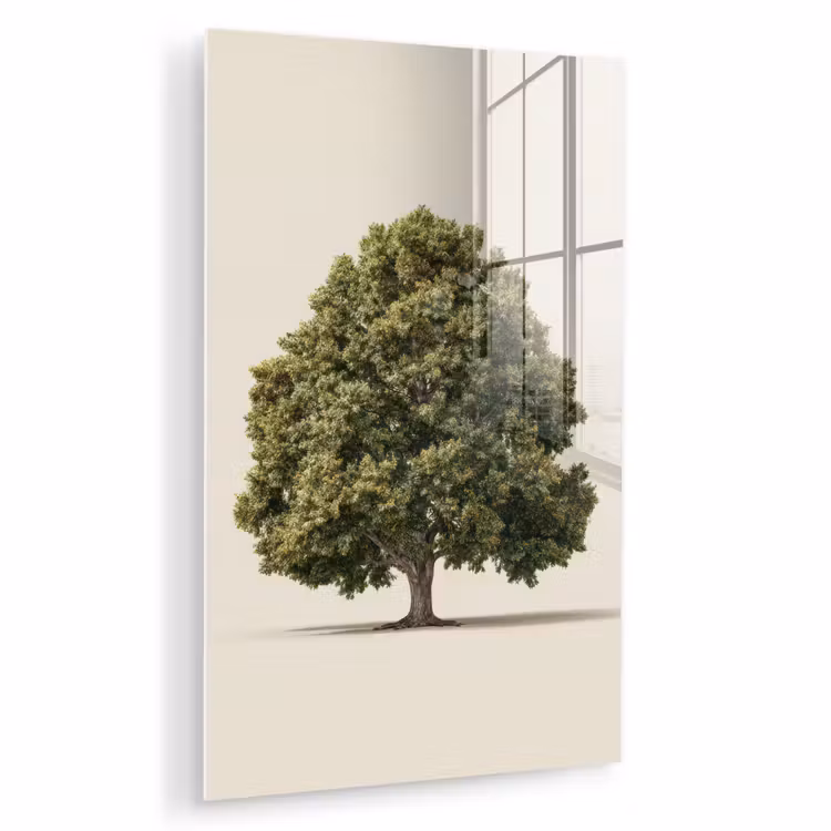 Glas schilderij - Eikenboom - Groen - Lichte achtergrond — 1