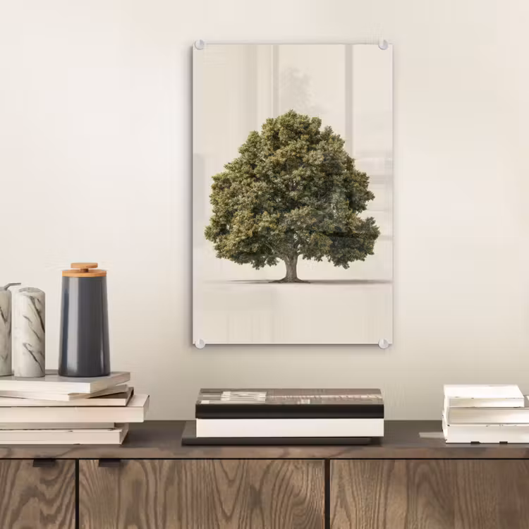 Glas schilderij - Eikenboom - Groen - Lichte achtergrond — 2