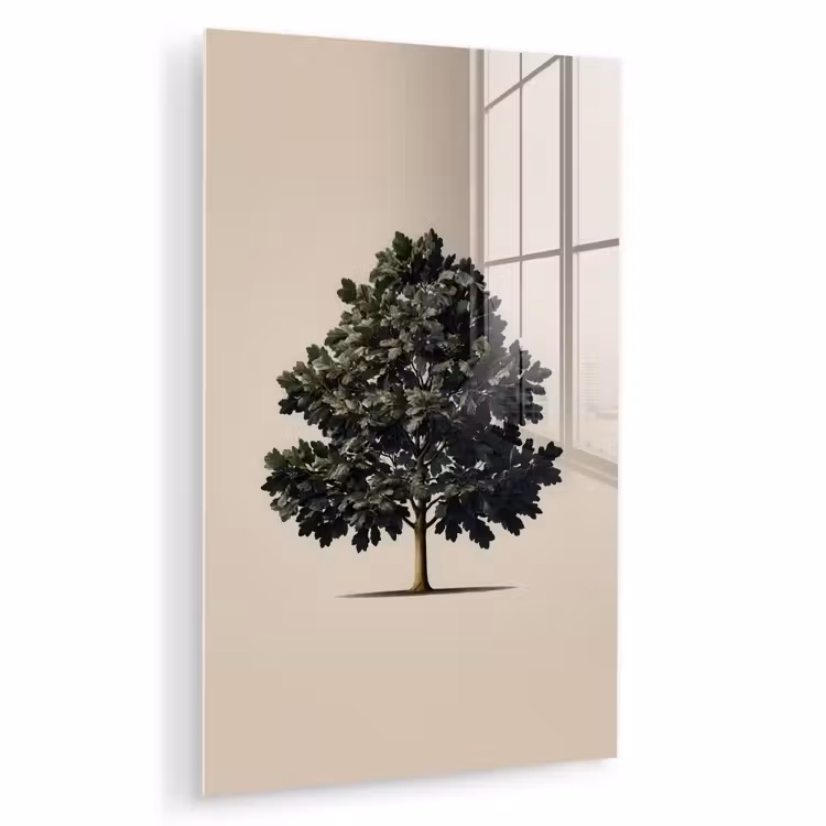 Glas schilderij - Eikenboom - Schaduw - Egaal — 1