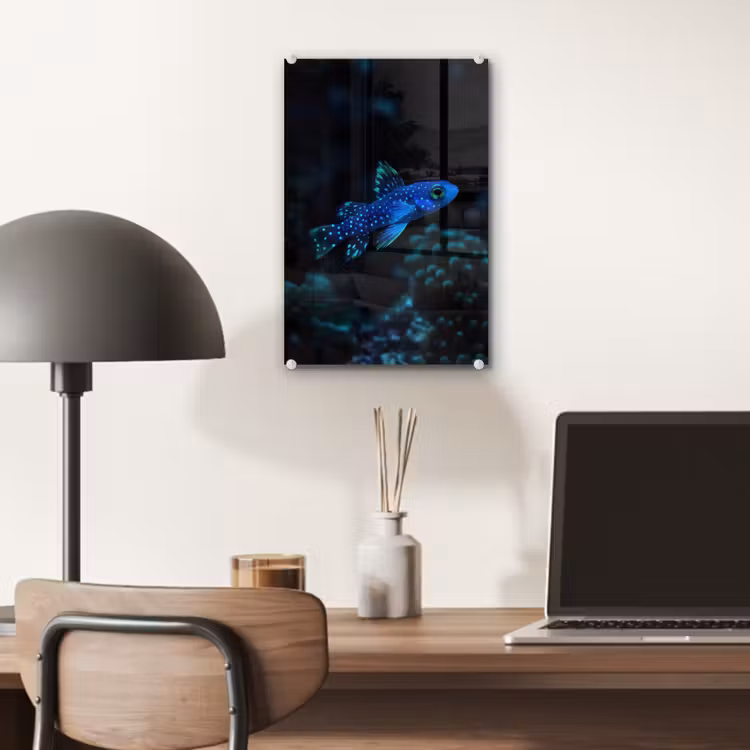 Glas schilderij - Vis - Stippen - Koraal - Blauw — 7