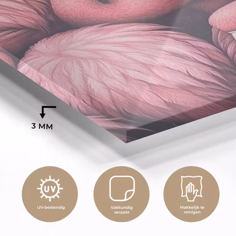 Glas schilderij - Flamingo - Roze - Dieren — 3