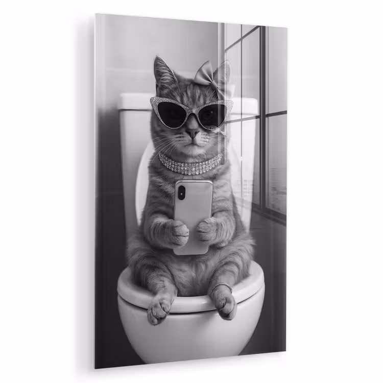 Glas schilderij - Kat - Telefoon - Toilet - Zwart - Wit — 1