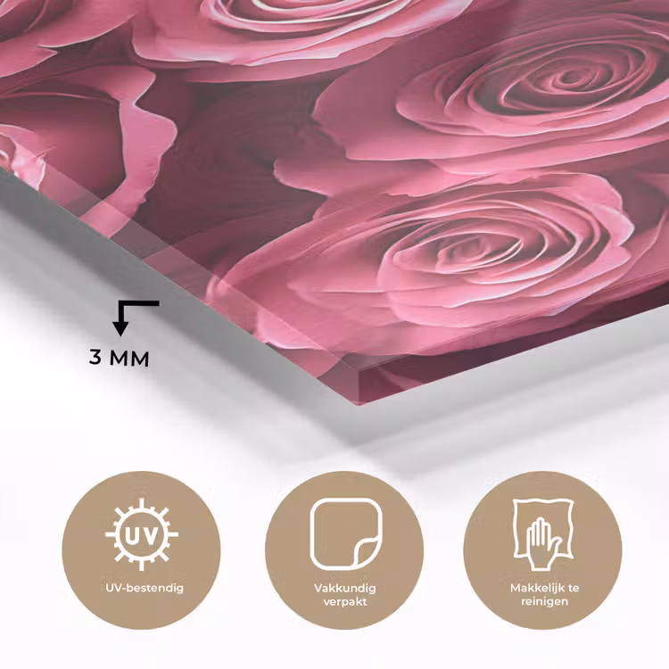 Glas schilderij - Rozen - Pink - Bloem — 3