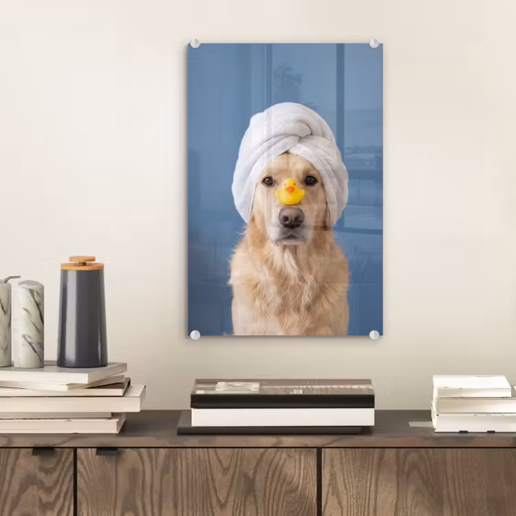 Glas schilderij - Hond - Badeend - Geel — 2