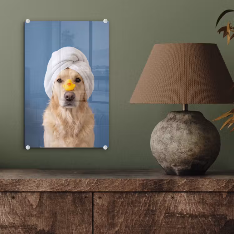 Glas schilderij - Hond - Badeend - Geel — 4