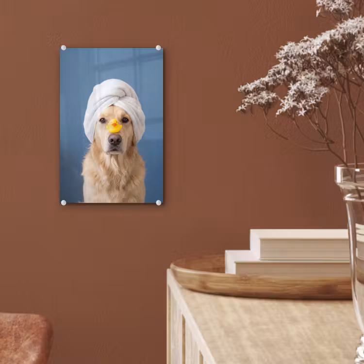 Glas schilderij - Hond - Badeend - Geel — 6