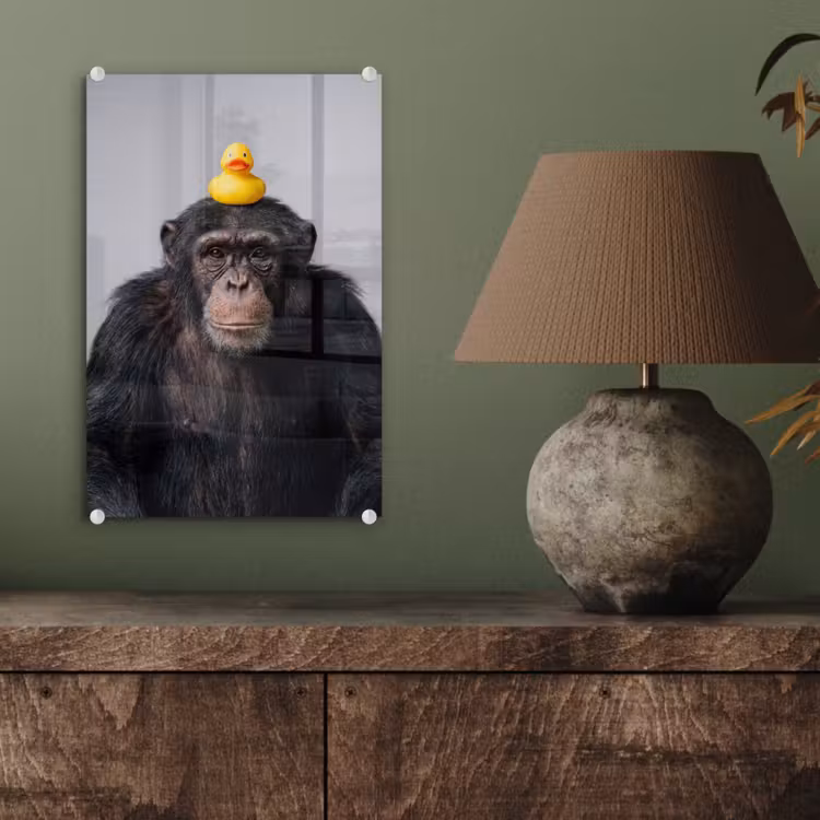 Glas schilderij - Chimpansee - Badeend - Grijs — 4