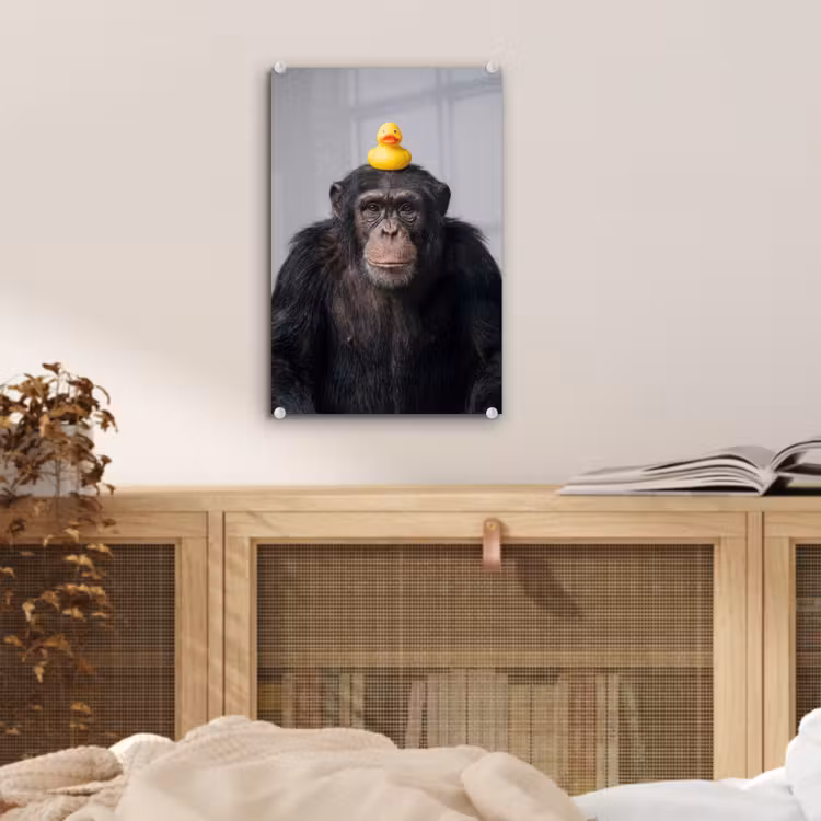 Glas schilderij - Chimpansee - Badeend - Grijs — 5