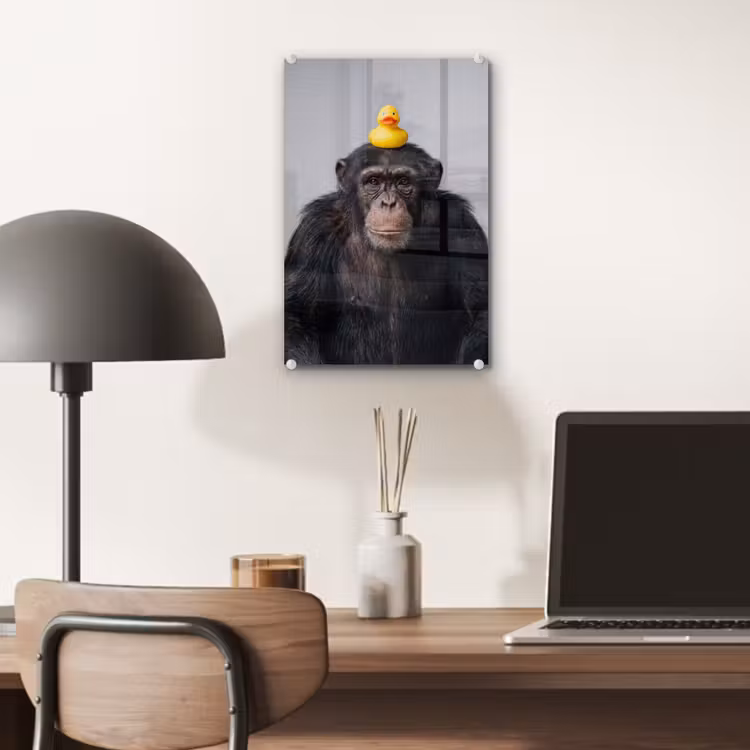 Glas schilderij - Chimpansee - Badeend - Grijs — 7