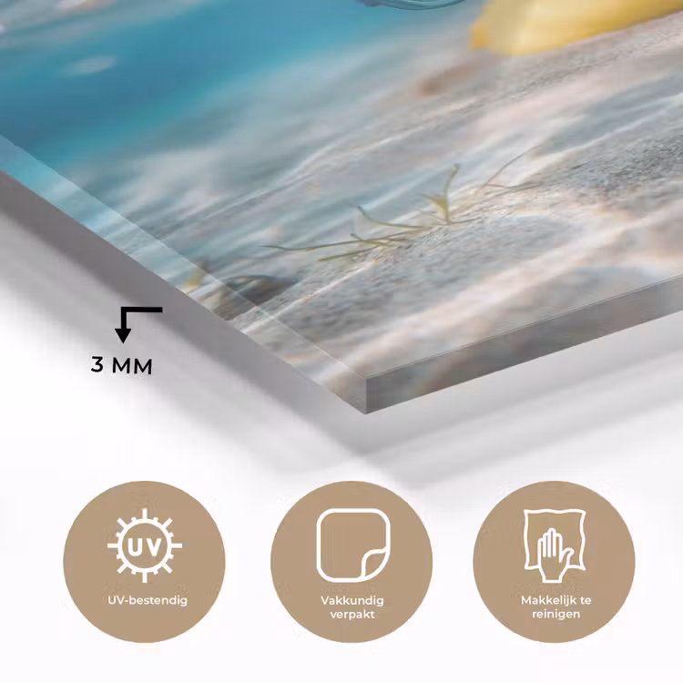 Glas schilderij - Duikbril - Eend - Water — 3