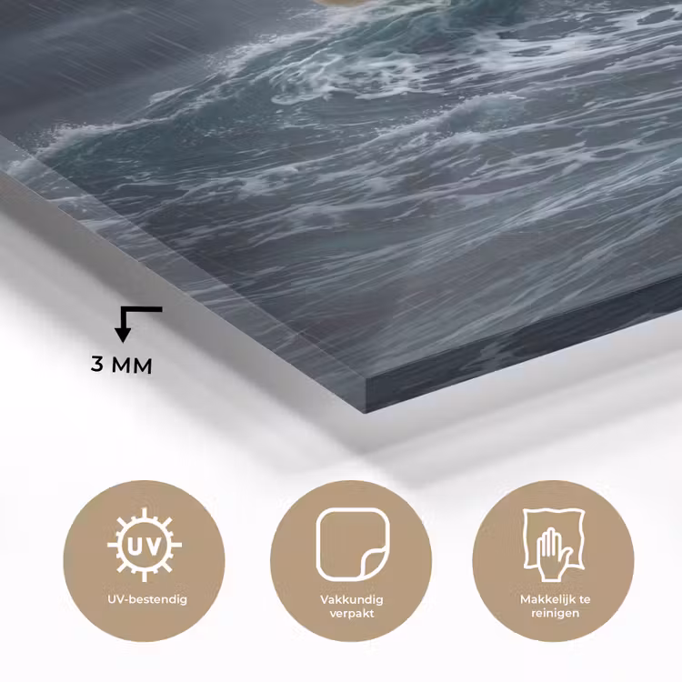 Glas schilderij - Storm - Badeend - Golven — 3