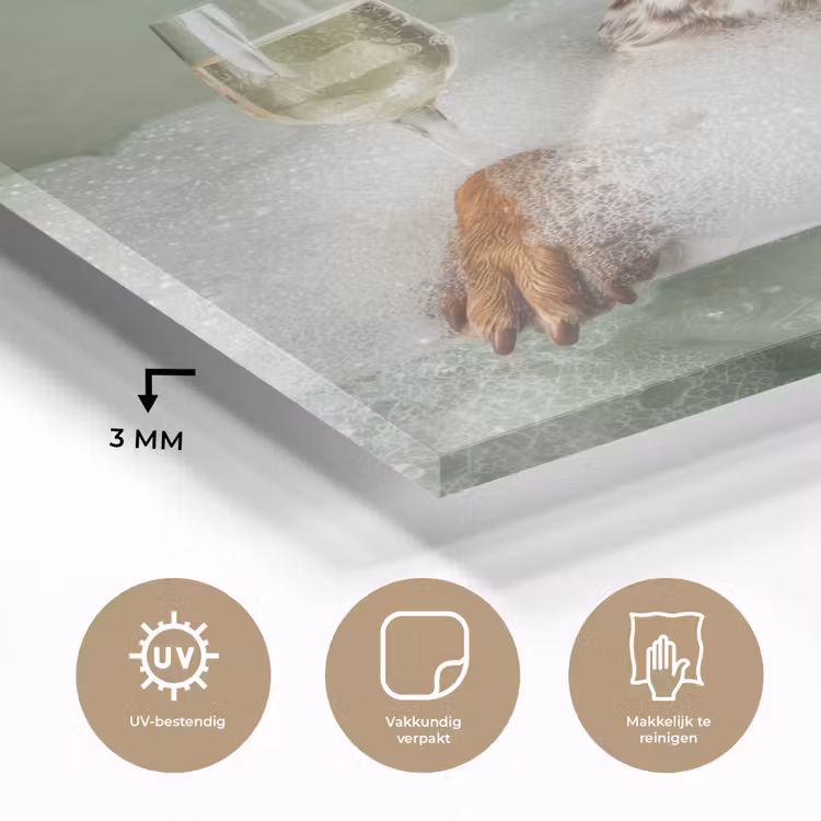 Glas schilderij - Hond - Bad - Champagne - Handdoek — 3