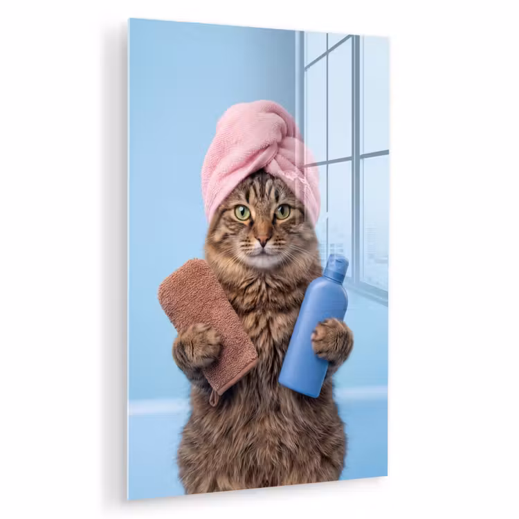 Glas schilderij - Kat - Handdoek - Washand - Zeep — 1