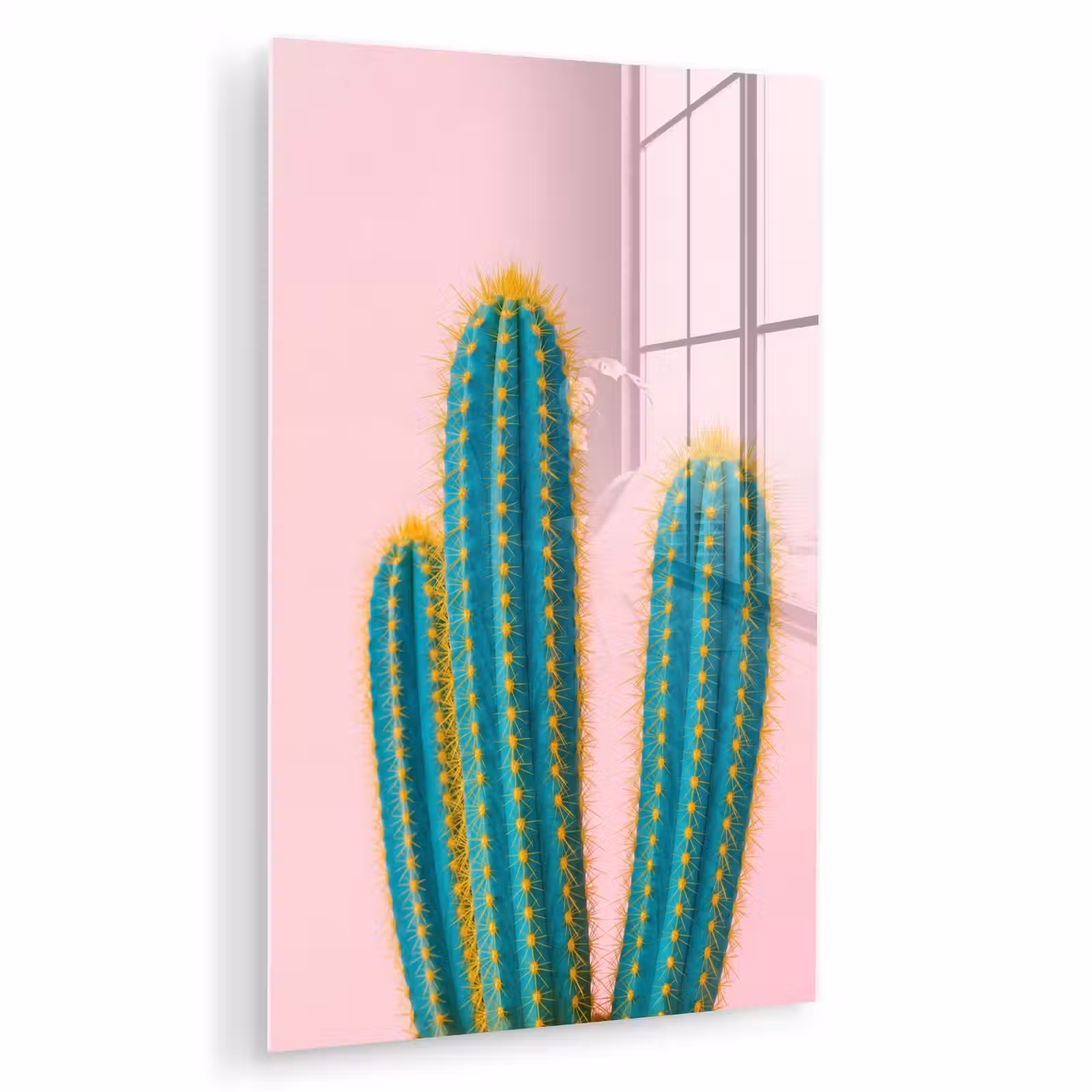 Glas schilderij - Cactussen - Modern - Pastel — 1