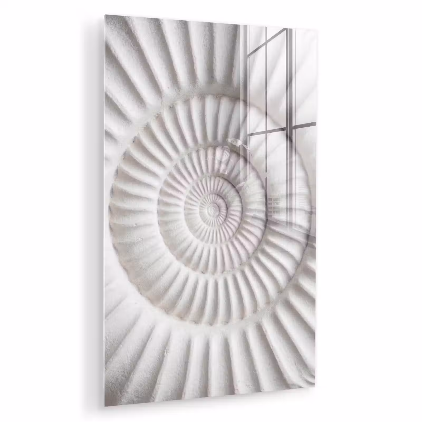 Glas schilderij - Schelp - Spiraal - Wit — 1