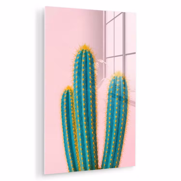 Glas schilderij - Cactussen - Modern - Pastel — 1