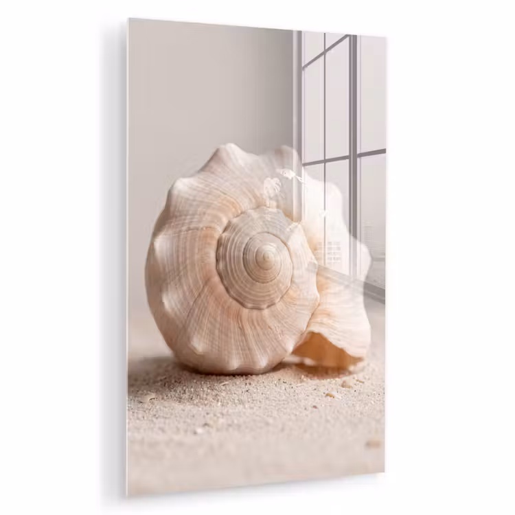 Glas schilderij - Schelp - Detail - Beige — 1