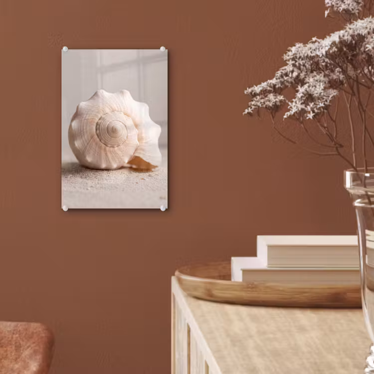 Glas schilderij - Schelp - Detail - Beige — 6