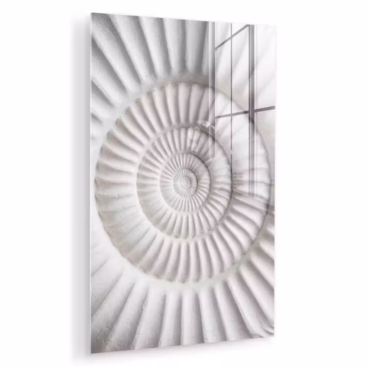 Glas schilderij - Schelp - Spiraal - Wit — 1