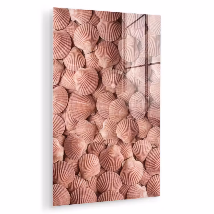 Glas schilderij - Schelpen - Patroon - Roze — 1