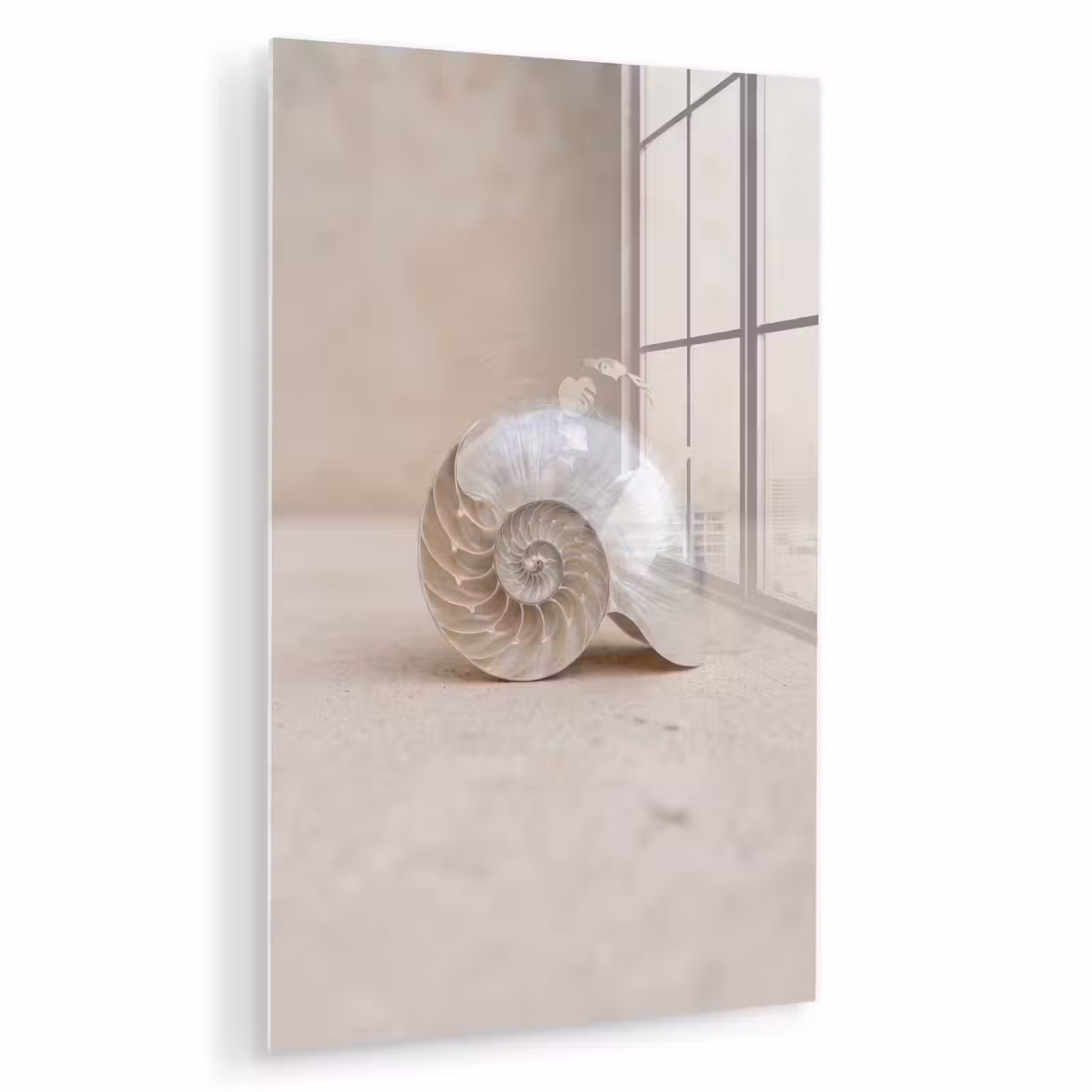 Glas schilderij - Schelp - Spiraal - Beige — 1