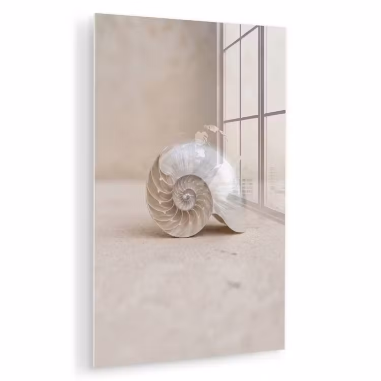 Glas schilderij - Schelp - Spiraal - Beige — 1