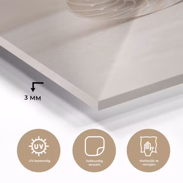 Glas schilderij - Schelp - Spiraal - Beige — 3