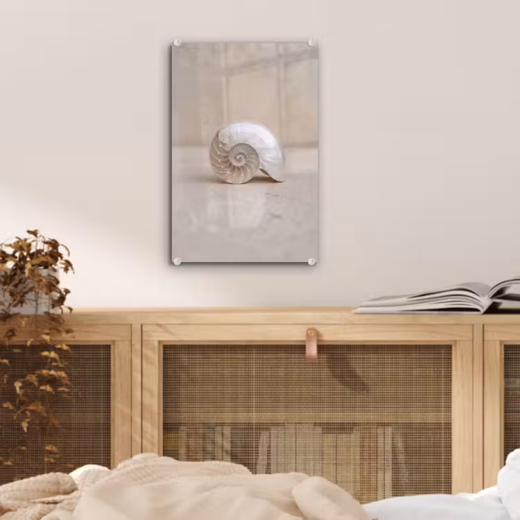Glas schilderij - Schelp - Spiraal - Beige — 5